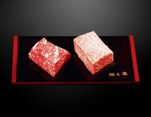 門崎熟成肉 塊焼き・塊肉（赤身&霜降り：120g×2個） | ハンバーグの