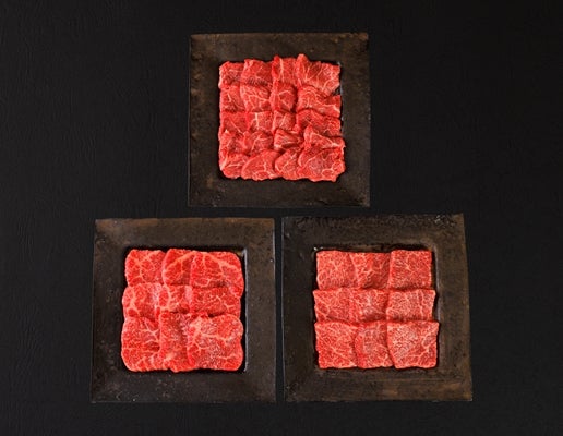 格之進 熟成状態の肉