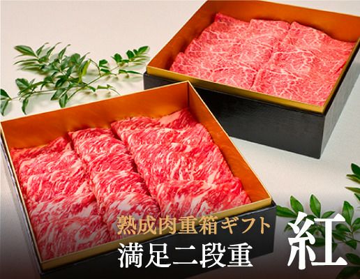 お中元ギフト満足二段重紅