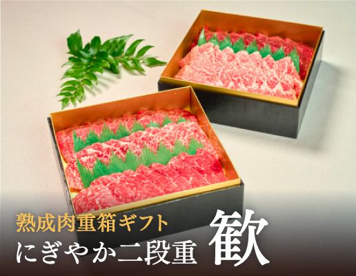 お中元ギフトにぎやか二段重歓