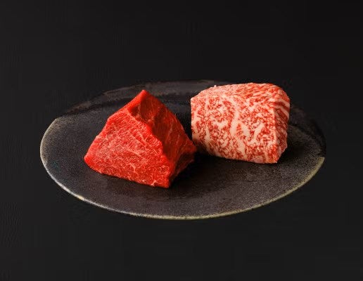門崎熟成肉 塊焼き・塊肉 赤身・霜降り 120g各1個